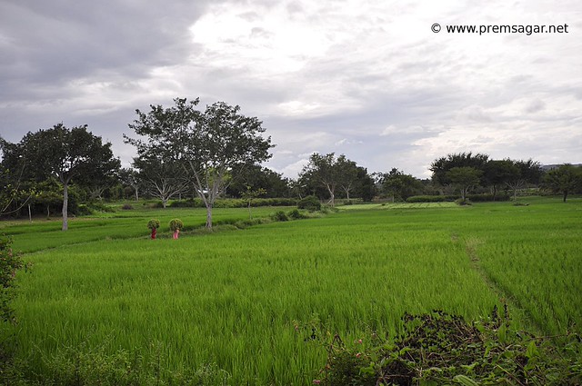Indian countryside