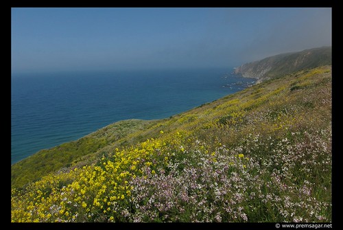 Tomales bay