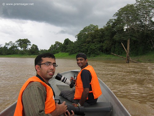 On the Kinabatangan river