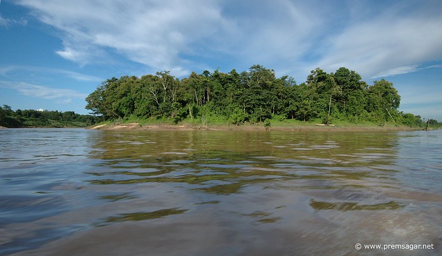 Kinabatangan river valley