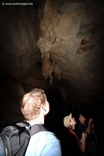 Nest spotting inside the cave!