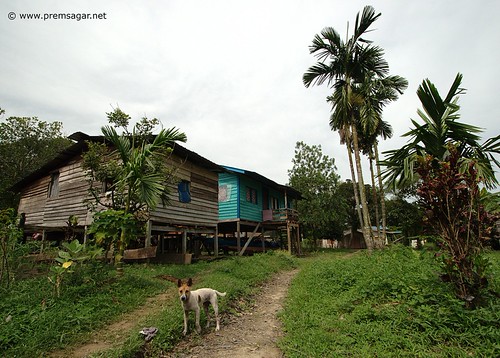 Iban houses