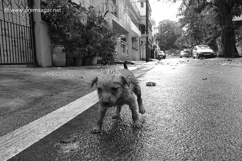 Its raining! I lost my mom! Can you help me find her?