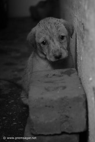 I am missing my mom a lot!