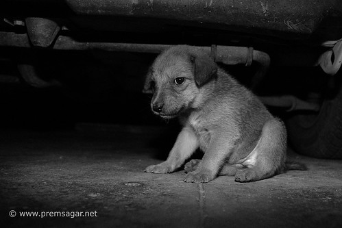 Contemplating abt life without mom!