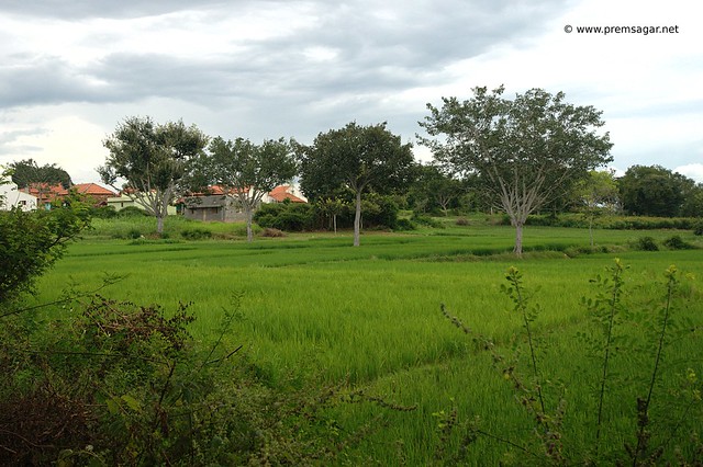Rural India